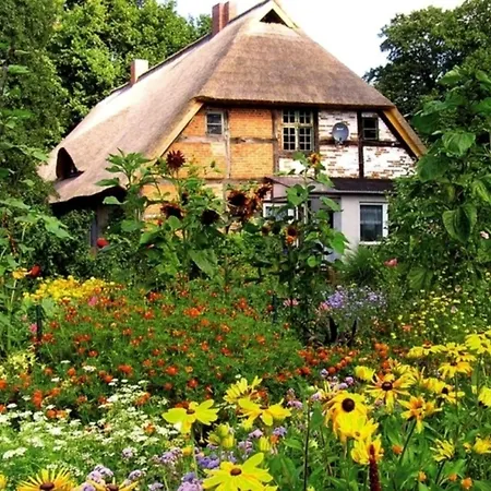 Birnengarten Am Pfarrgarten Starkow