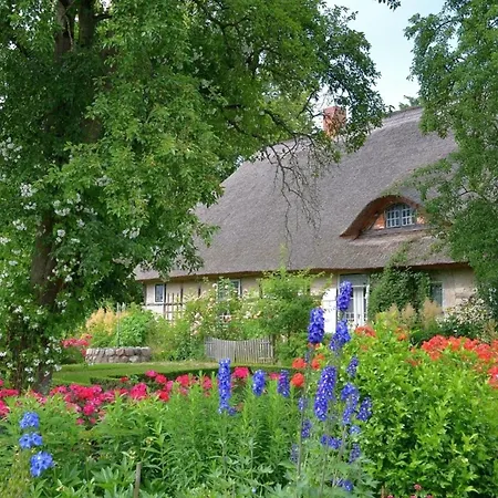 Birnengarten Am Pfarrgarten Starkow Daire Velgast