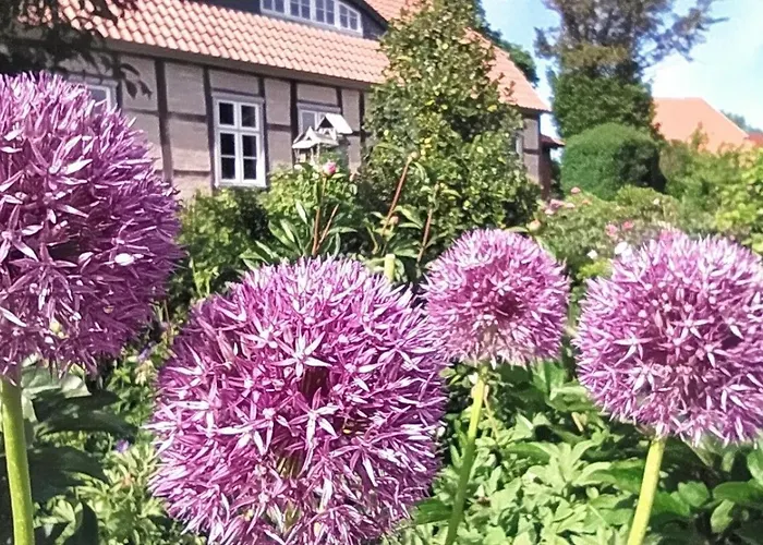 Birnengarten Am Pfarrgarten Starkow 公寓