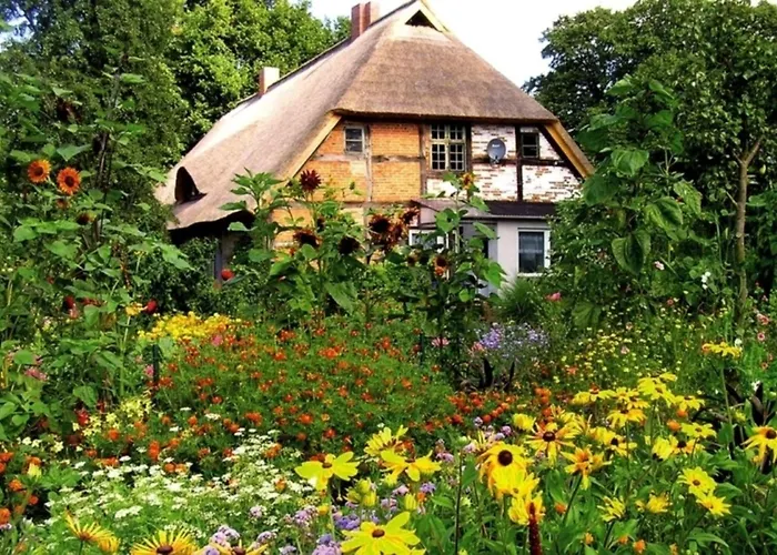 Birnengarten Am Pfarrgarten Starkow