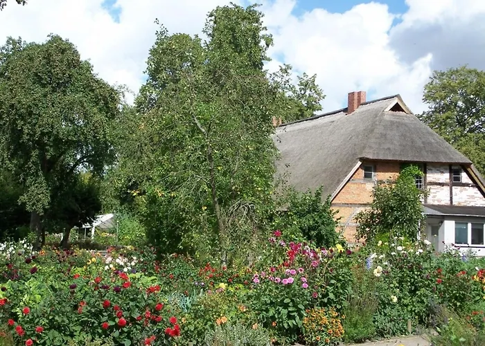Birnengarten Am Pfarrgarten Starkow